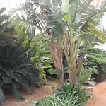 팜스테이 La Mimosa Vacanze 마르살라