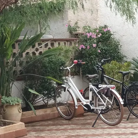 La Mimosa Vacanze مارسالا