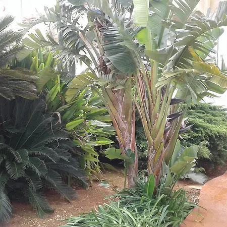 בית חווה La Mimosa Vacanze מרסאלה