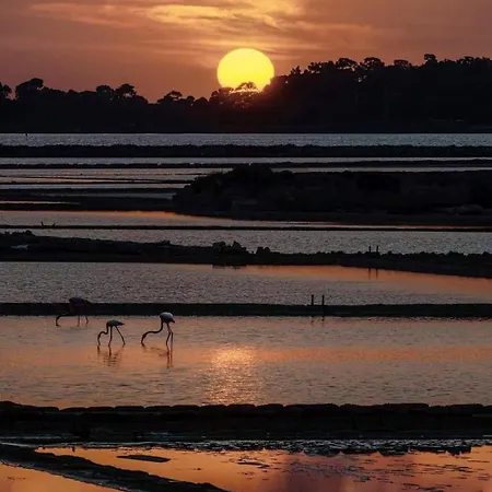 La Mimosa Vacanze ファームステイ *