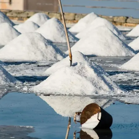 ファームステイ La Mimosa Vacanze *