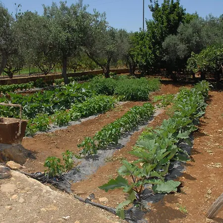 La Mimosa Vacanze ファームステイ マルサラ