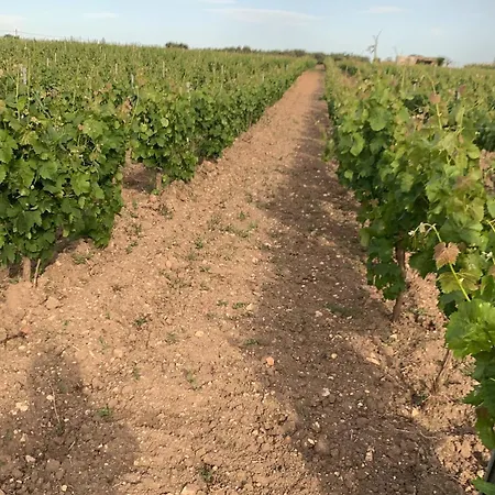 La Mimosa Vacanze ファームステイ マルサラ