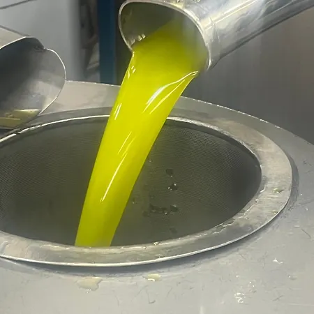 La Mimosa Vacanze マルサラ