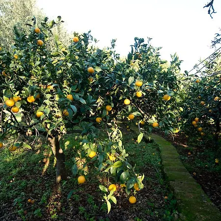 Farm stay La Mimosa Vacanze Marsala
