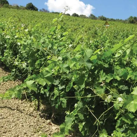 La Mimosa Vacanze ファームステイ マルサラ