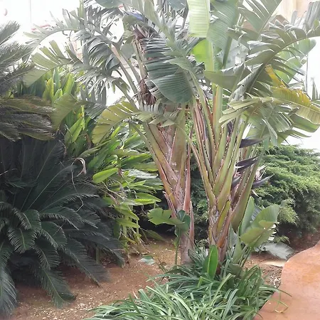 Lantgård La Mimosa Vacanze Marsala