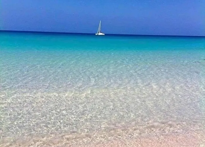 La Mimosa Vacanze