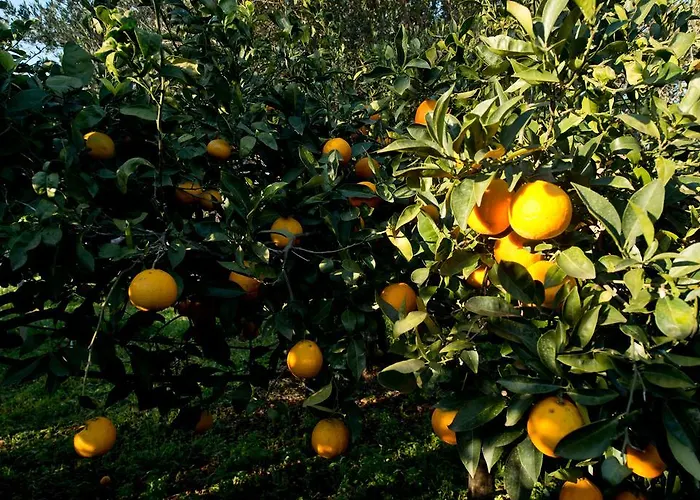 La Mimosa Vacanze * Marsala