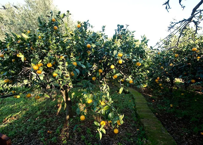 Feriegård La Mimosa Vacanze Marsala