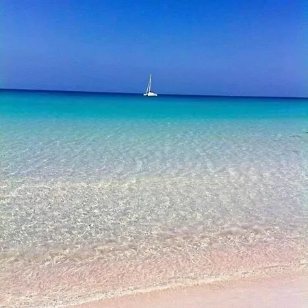 La Mimosa Vacanze