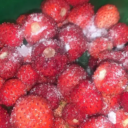 Gospodarstwo agroturystyczne La Mimosa Vacanze